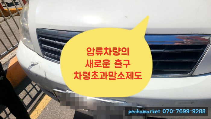  압류차량의 새로운 출구 차령초과말소제도