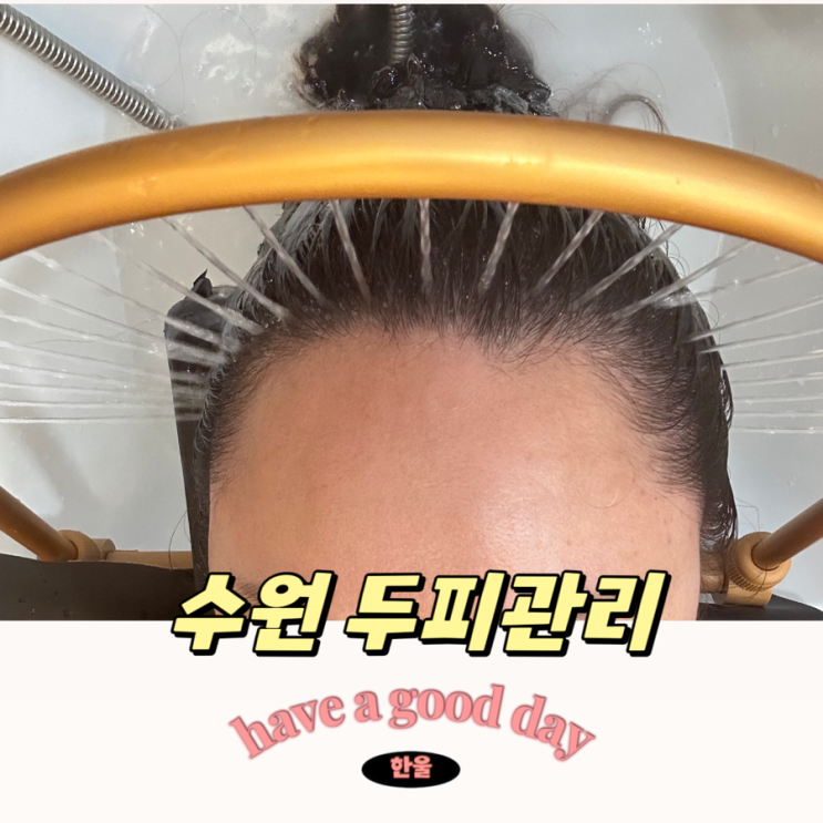  수원두피관리 인계동 숲칼프에서 탈모 관리