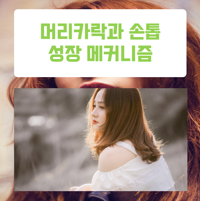  머리카락과 손톱, 자르지 않으면 어디까지 자랄 수 있을까?