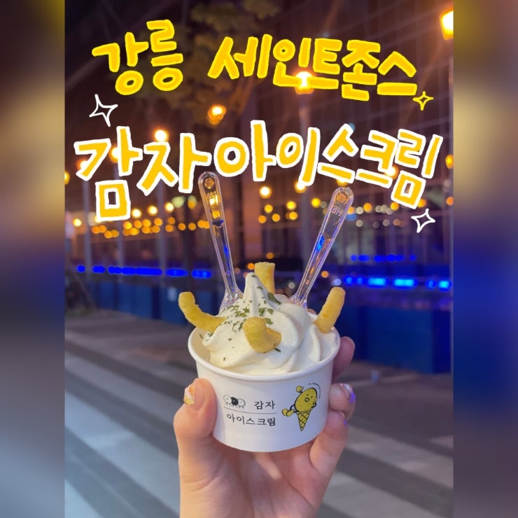  강릉 세인트존스 감자아이스크림이 맛있는 필요한게있는집 애견용품 내돈내산