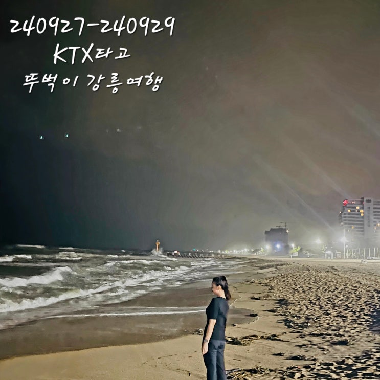  240927~240929 뚜벅이 강릉여행강릉 블루스테이 펜션 F01파랑회수산