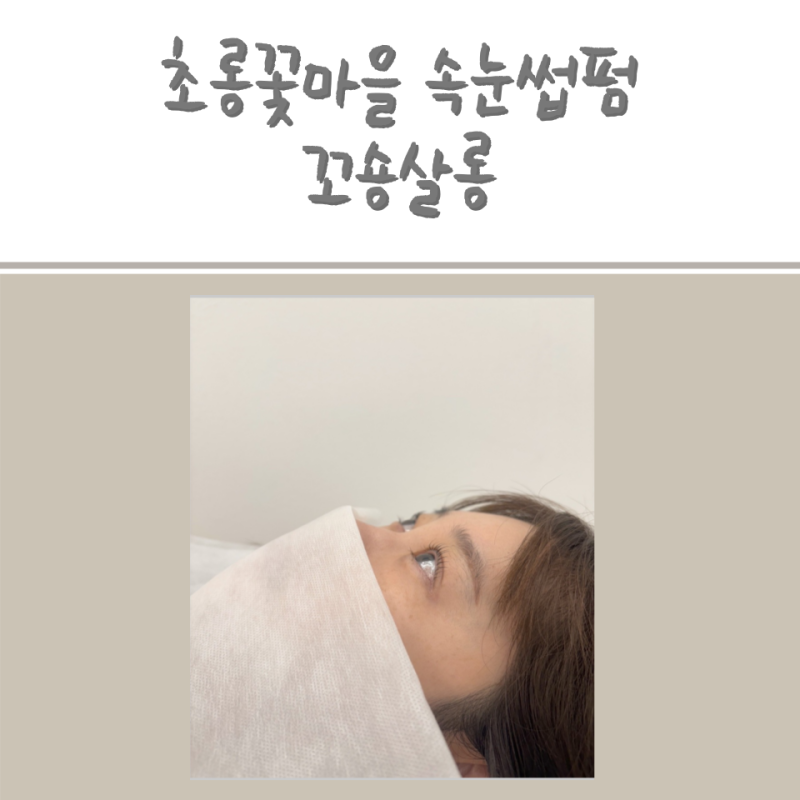 초롱꽃마을속눈썹펌 맛집 꼬숑살롱 너무잘해
