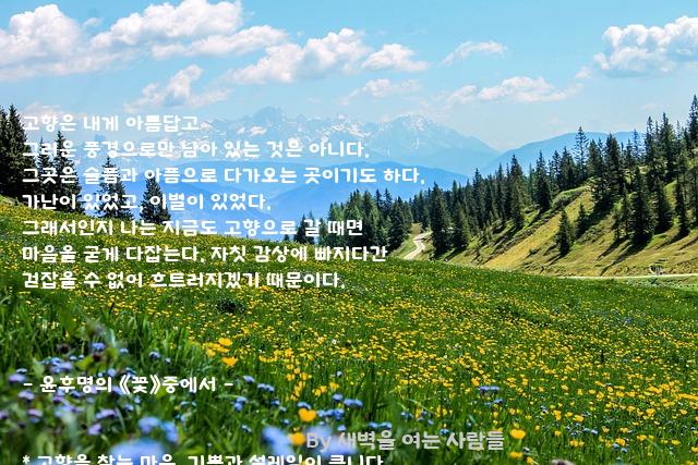 고향 고향