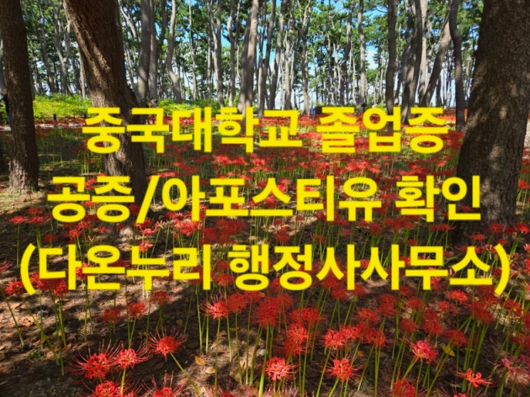  교육청 제출용 중국대학교 졸업증 공증