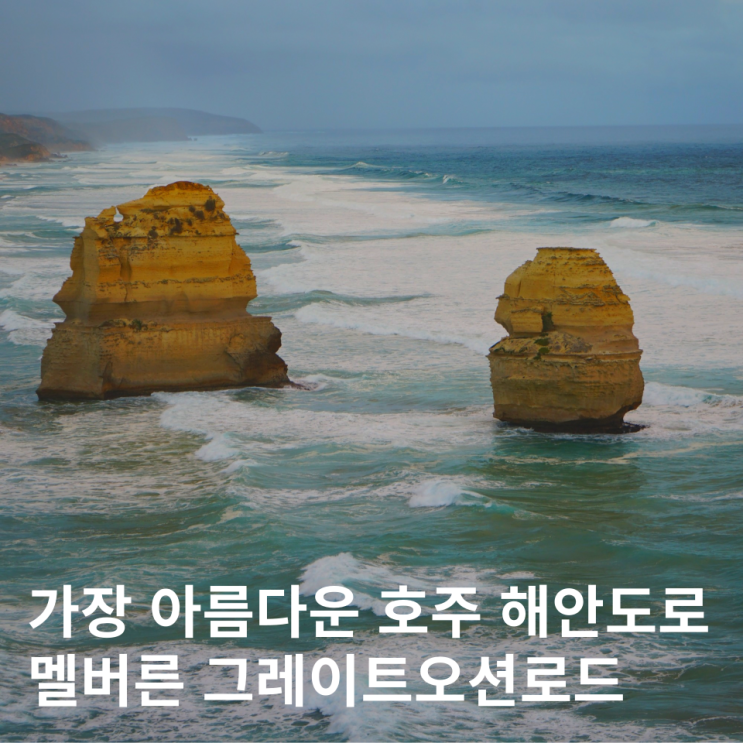  멜버른 그레이트오션로드 투어 렌트카 코스 가격 후기