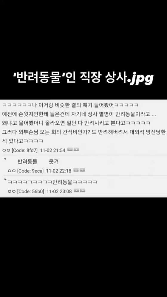 사진 4