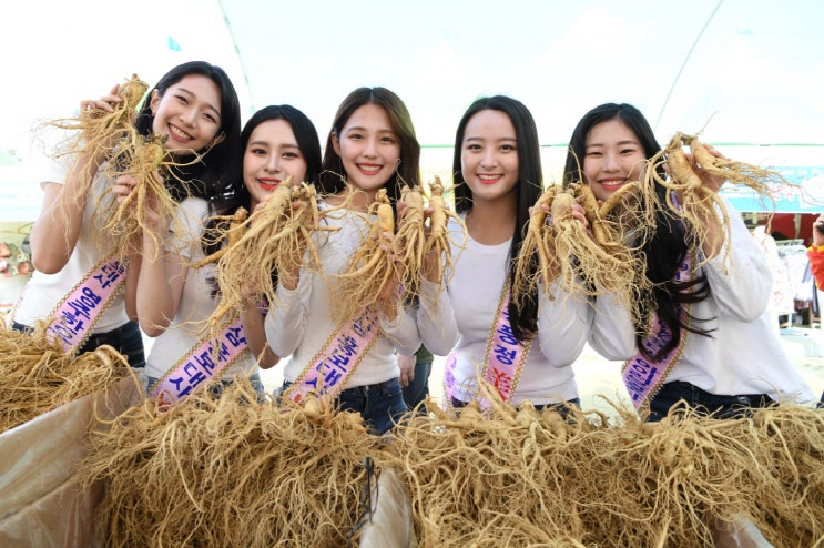  2024 경북영주 풍기인삼축제 기본정보