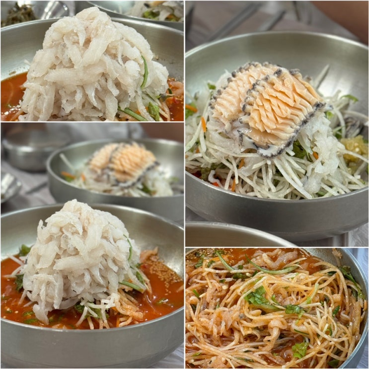  속초 물회 맛집 완도회식당 현지인 속초 물회 내돈내산 찐맛집