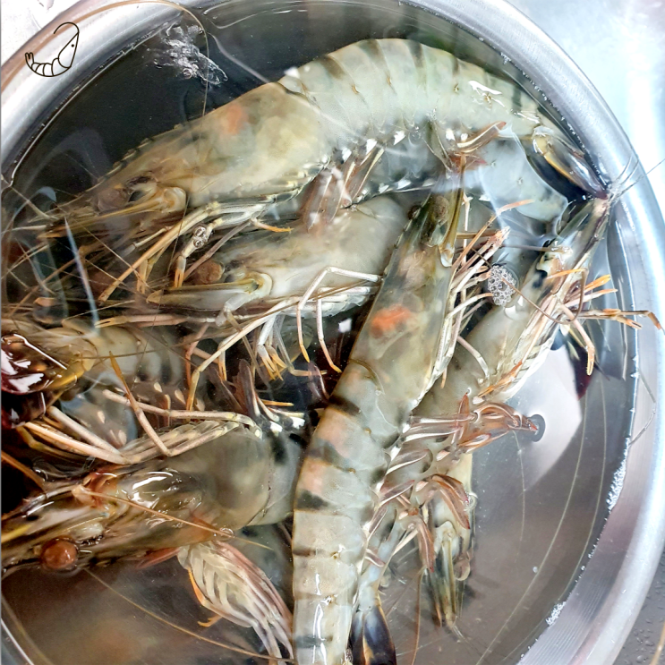  지금 제철인 가을 대하, 흰 다리 새우의 생김새, 서식지, 구입, 보관, 손질, 먹는방법과 주의사항