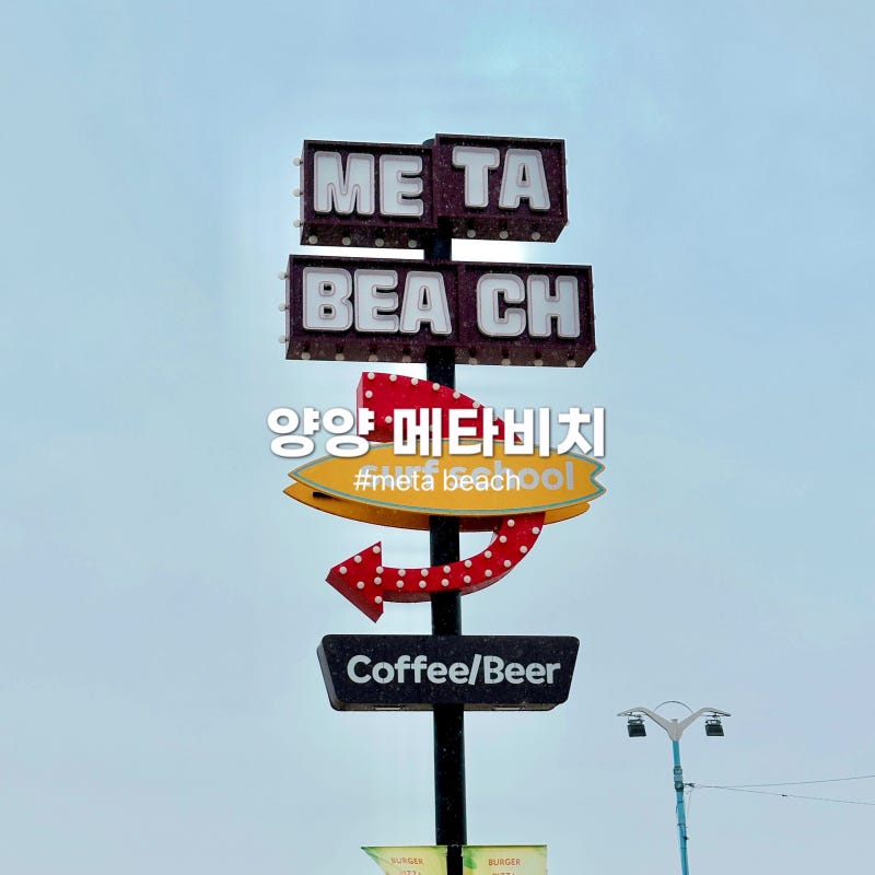 사진 6