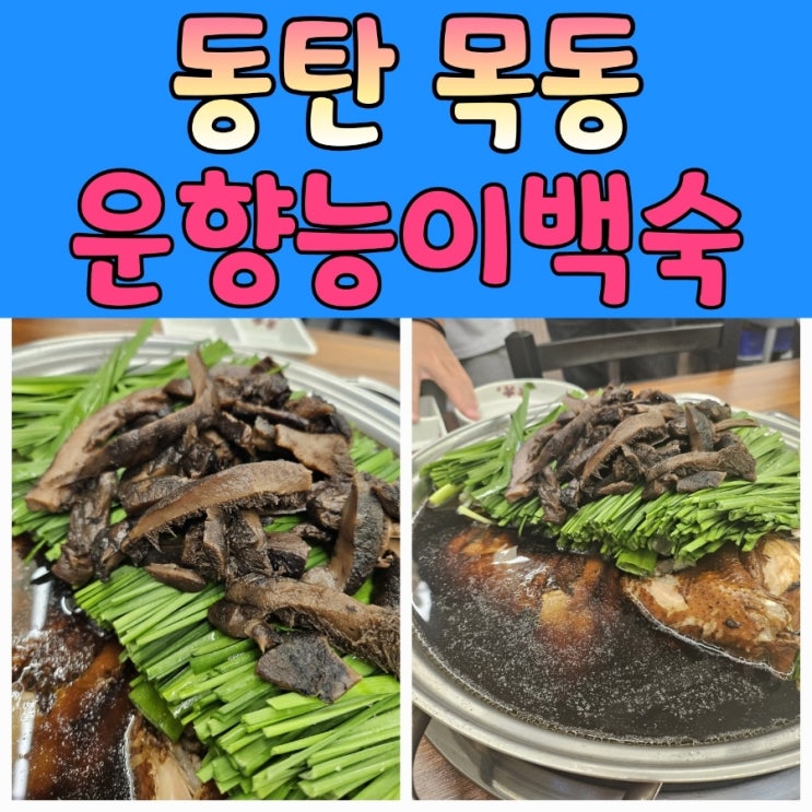  숨은 동탄백숙 맛집 [ 운향능이백숙 ]