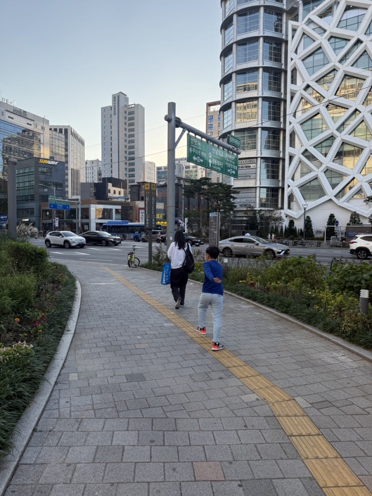  드디어 먹어 본 요거트 아이스크림의 정석 (요아정)!