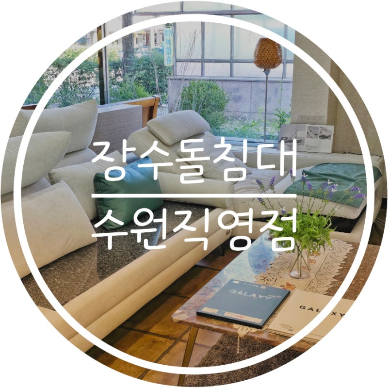 사진 5