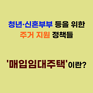 LH 가 집을 사서 싼 값에 전세 준다... '매입임대주택' 이란?