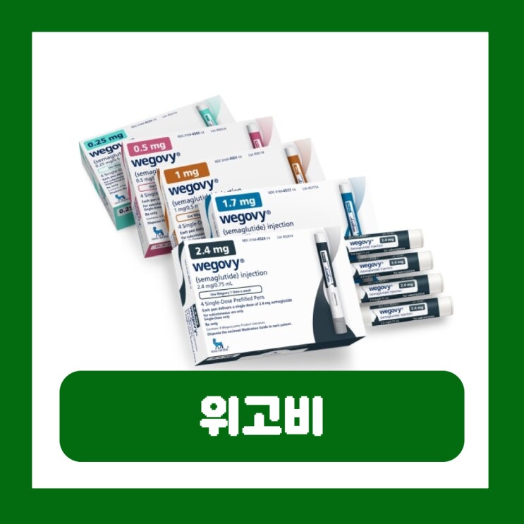  위고비 가격 처방 GLP-1 유사체 비만치료제 효과 부작용