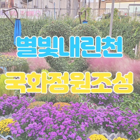 <b>국화정원</b>에서 즐기는 가을 산책: <b>별빛내린천</b>의 매력