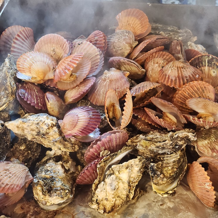 마산 구산면 청수굴구이 제철 굴 가리비 맛집 생굴회 마산 구산면 청수굴구이 제철 굴 가리비 맛집 생굴회