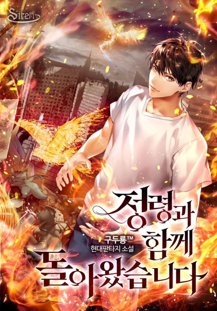  현판소설리뷰 - 정령과 함께 돌아왔습니다.[무림, 플레이어, 정령사]