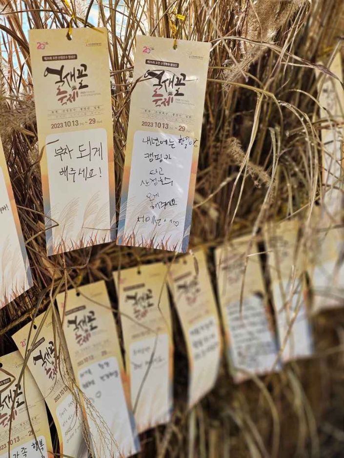  포천 산정호수 명성산 억새꽃축제 2024 기본정보