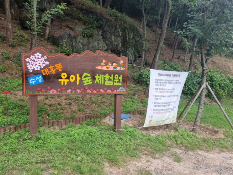  대구 수성구 아이와 가볼만한곳 - 수성 대흥동 유아숲체험원