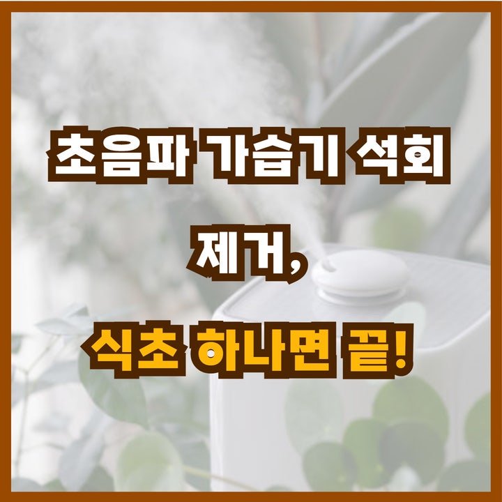  가열식 초음파 가습기 석회제거 방법, 가습기 청소 식초 하나로 종결!