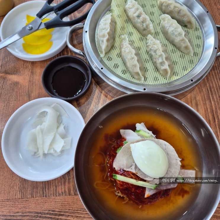  정관밀면맛집 사계절 밀면 :: 신가네밀면