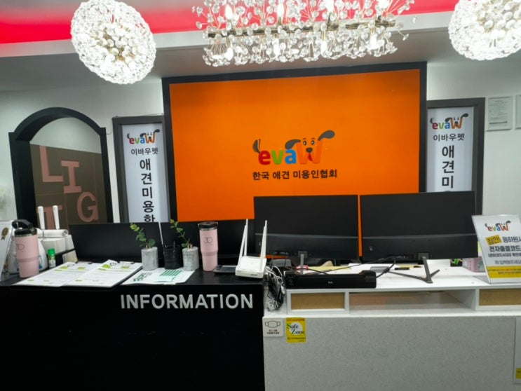  애견미용사 견습 학생일까? 직원일까? 대체 가능 수업