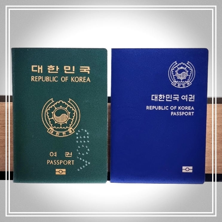  파란색 여권 발급 || 대구 시청 종합민원실 여권 재발급 비용 준비물