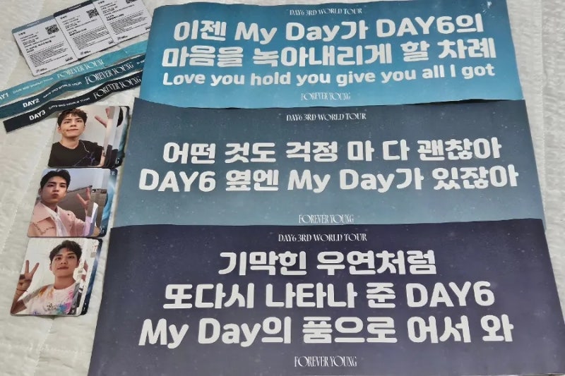 DAY6 Concert Ticketing on Yes24: General Sale, Catching Cancelled Tickets, Restricted View Seats, and Attending All Concerts (Including Tickets for Friends)
