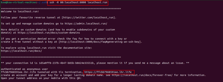  localhost.run (OAST Test)