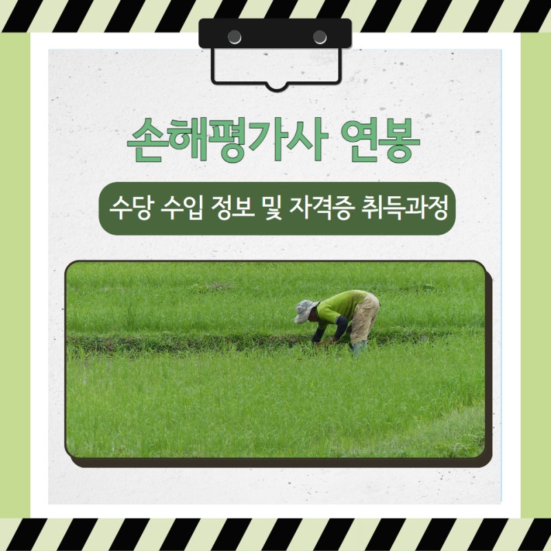 손해평가사 연봉 수당 수입 정보 및 자격증 취득과정