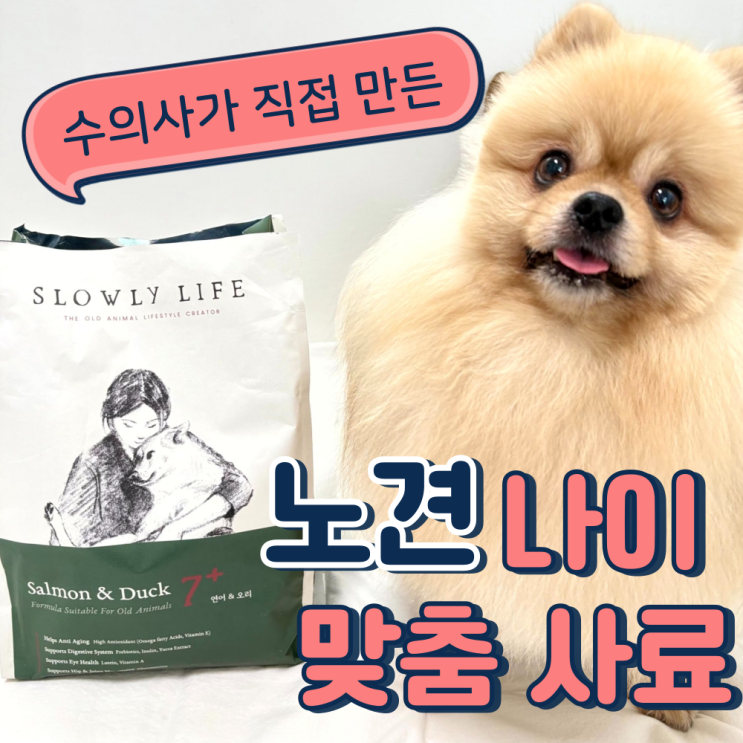  기호성 좋은 노견 사료 추천 나이 단계별로 맞춰 급여
