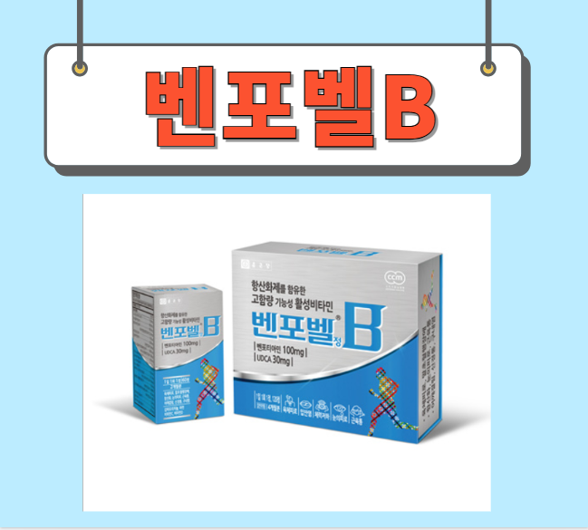  벤포벨B 가격 성분 완벽정리