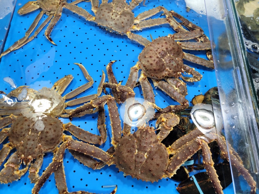효선네 사진 5