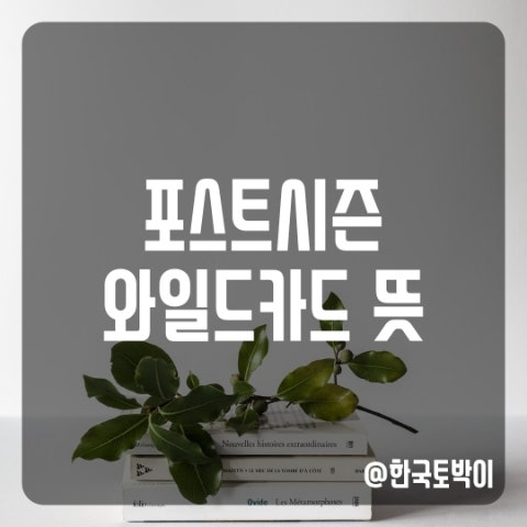 프로야구 포스트시즌 플레이오프 와일드카드 뜻