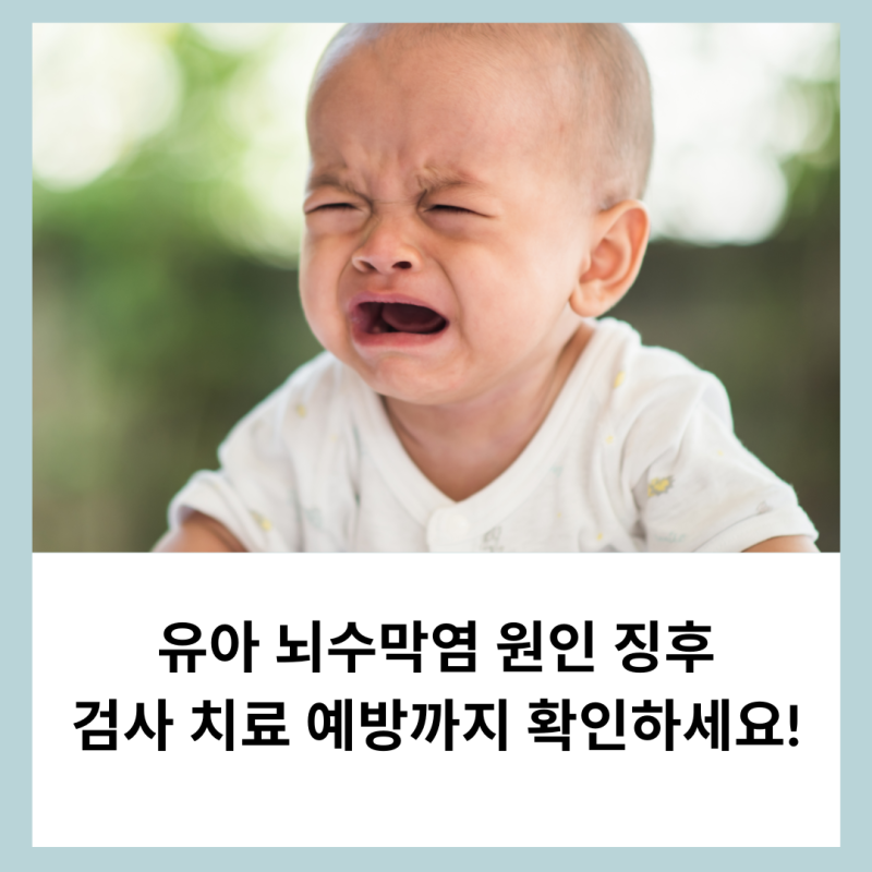 유아 뇌수막염 원인 징후 검사 치료 예방까지 확인하세요!