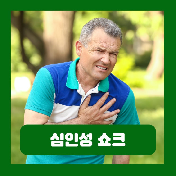  심인성 쇼크 원인 전조증상 응급처치 사망률 치료