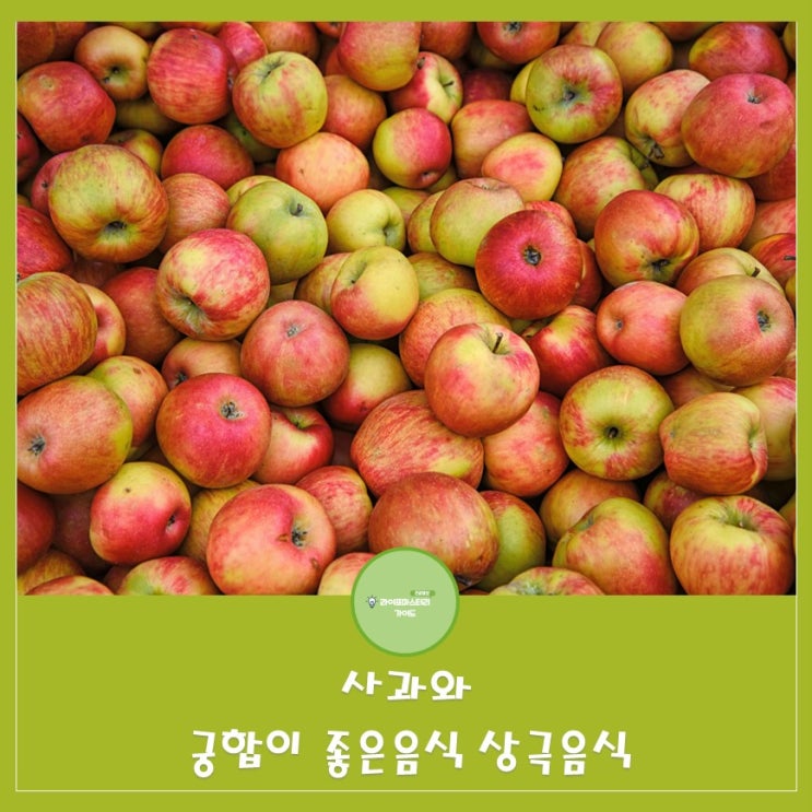  사과의 영양을 최대한 활용하는 음식 조합|찰떡 궁합음식 vs 피해야할 상극음식