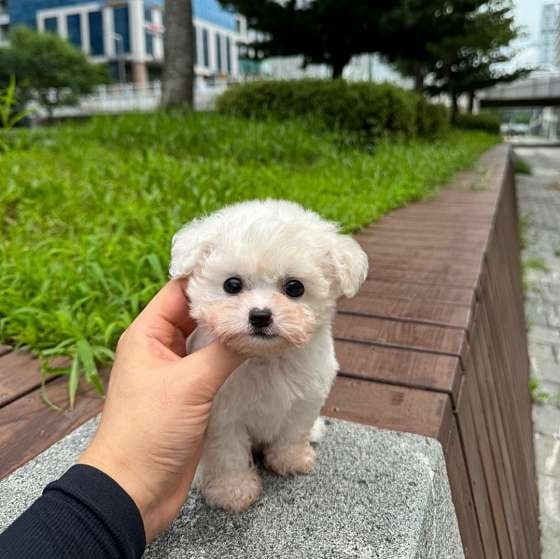 사진 2