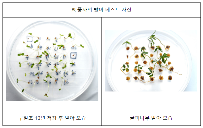 국립수목원, 20년간의 종자 연구 데이터 전면 개방 국립수목원, 20년간의 종자 연구 데이터 전면 개방