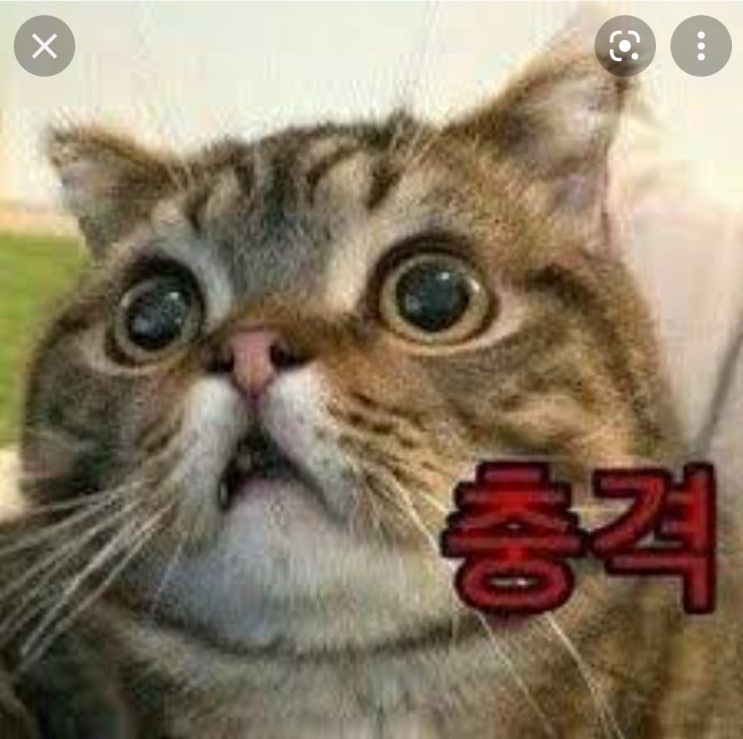  30대 직장인 하반기 목표 3가지(아끼는 것도 돈 버는 것이다!)