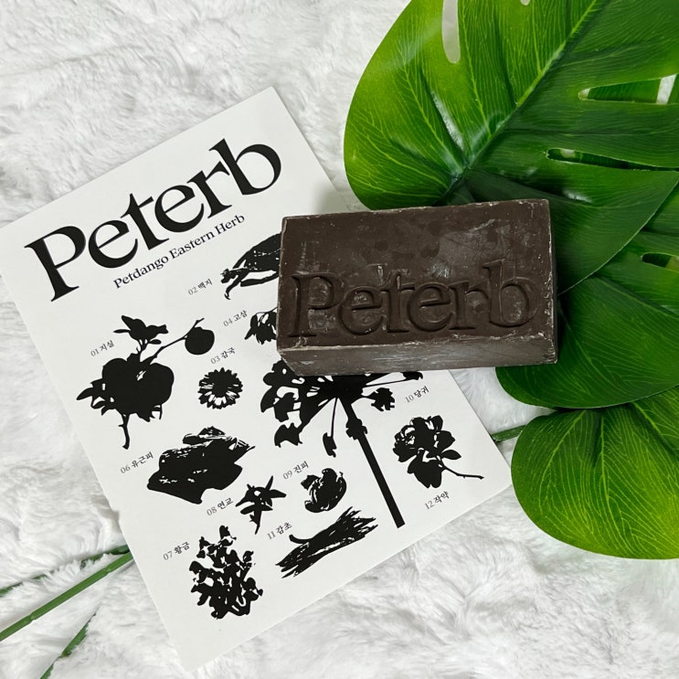  강아지 털엉킴 심하다면 린스 필요없는 Peterb 추천
