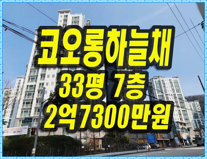 수성구 아파트 경매 수성못코오롱하늘채 33평형