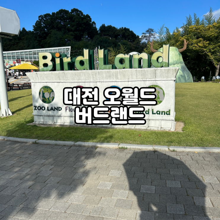  대전 실내 가볼만한곳 오월드 버드랜드 오월드 식당 플로라 후기