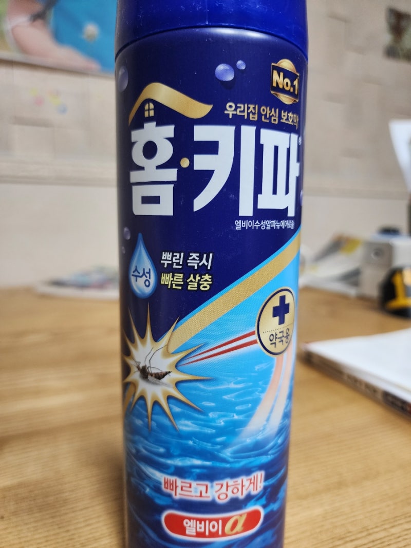 여름 다 갔는데 살충제 구매! 말벌 스프레이