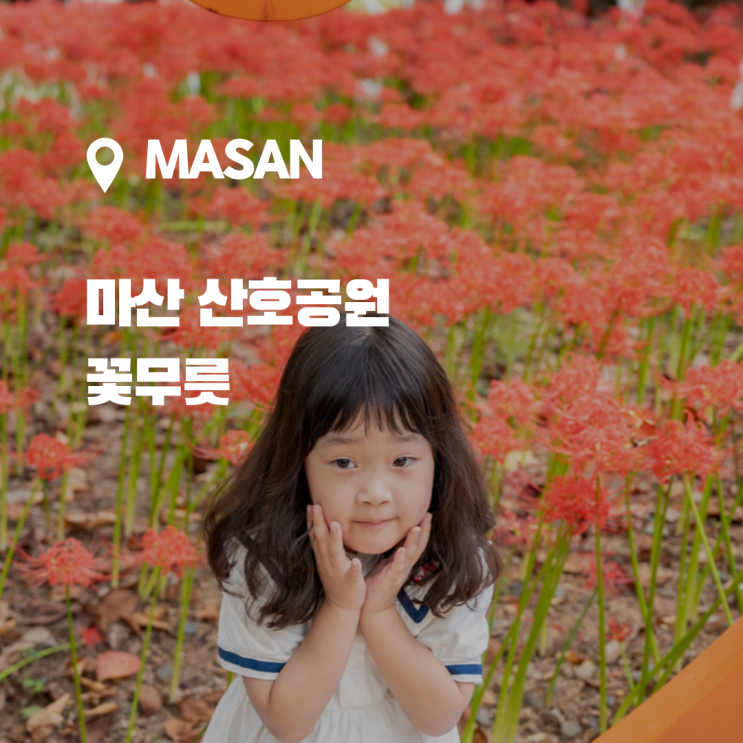  경남 꽃무릇 스팟 꽃무릇, 마산 산호공원 꽃무릇