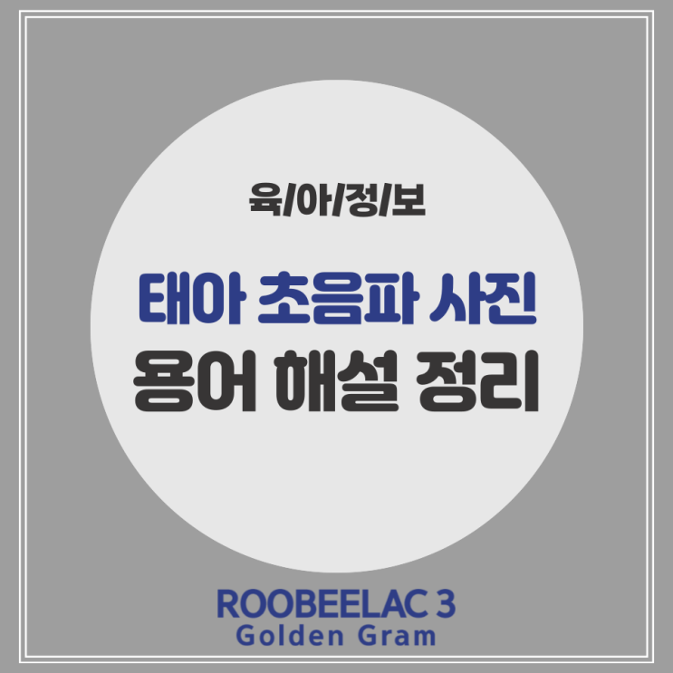  태아 아기 초음파 사진 보는 방법 및 정밀 용어 해설 정리 by. 덴마크 슈퍼 프리미엄 분유 루비락 3