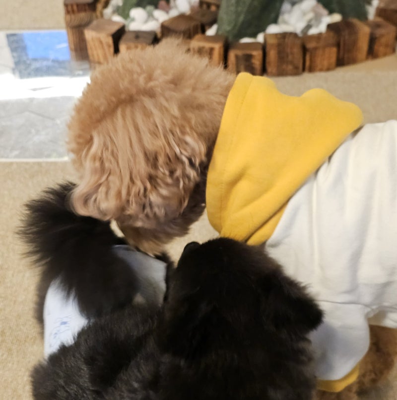 사진 3