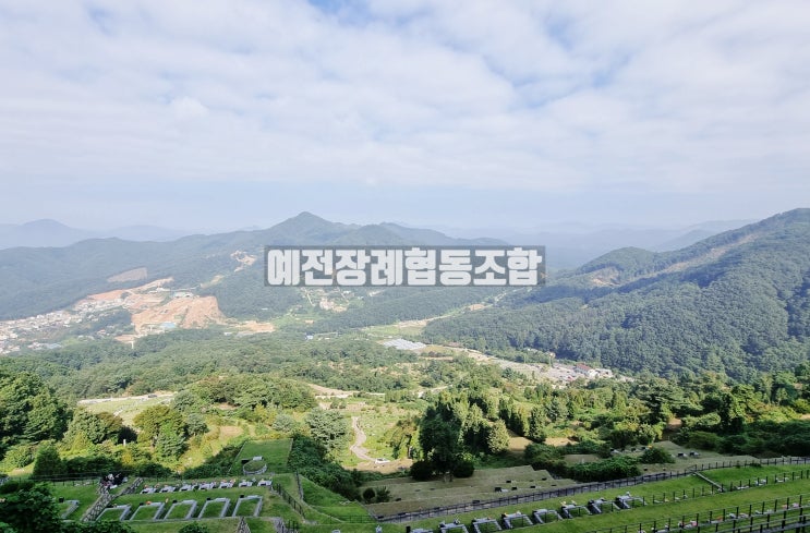  양평 가족묘 , 봉안묘 , 평장묘 , 자연장 최적의 선택지