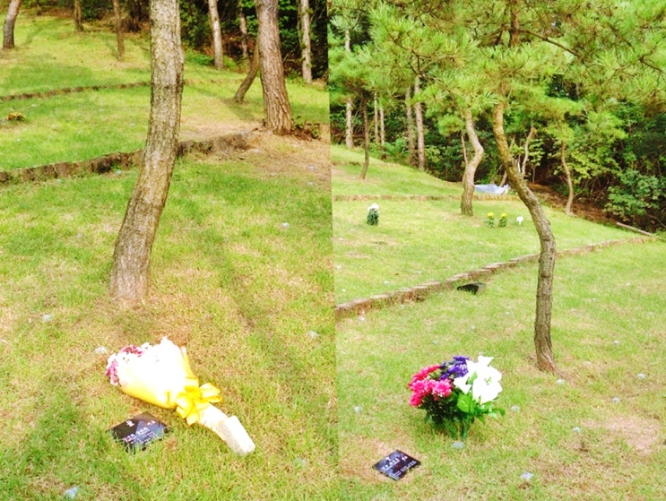 용인 장지 묘지로 선호하는 수목장